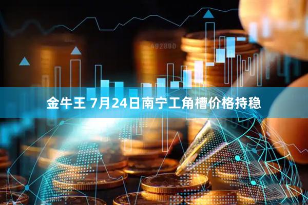 金牛王 7月24日南宁工角槽价格持稳